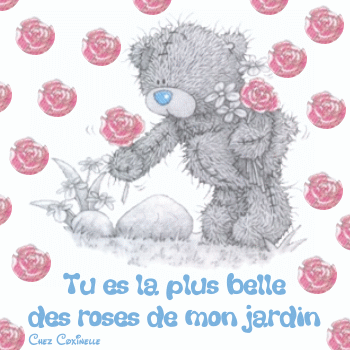 les fleurs